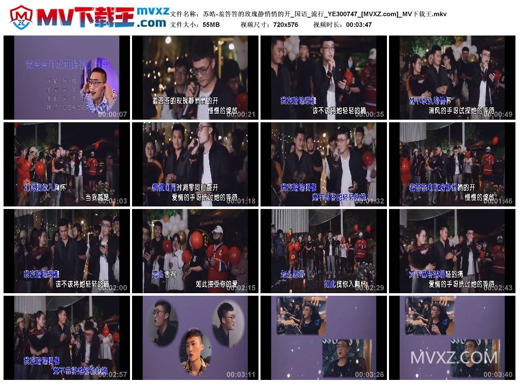 苏皓-羞答答的玫瑰静悄悄的开_国语_流行_YE300747